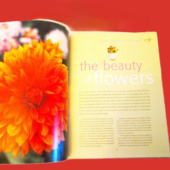 Flower(book)Gardening Reader Digest Designs, Plants-Techniques book Julie Bawden - Picture 4 of 13